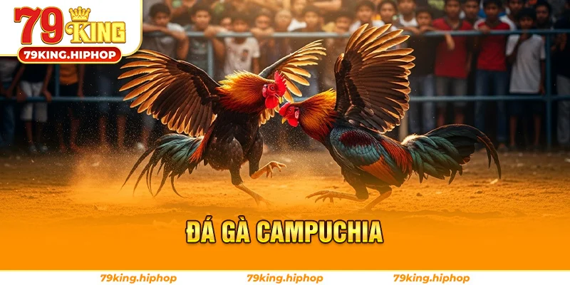 Đá Gà Campuchia